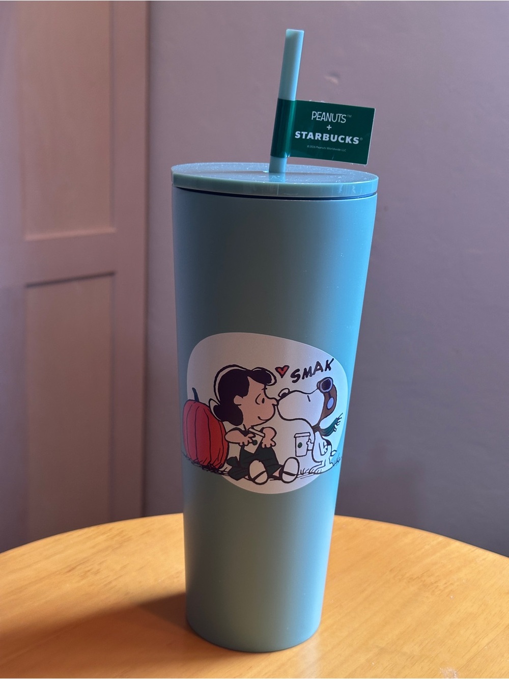 Starbucks x Peanuts Snoopy and Lucy - Green Tumbler 24oz